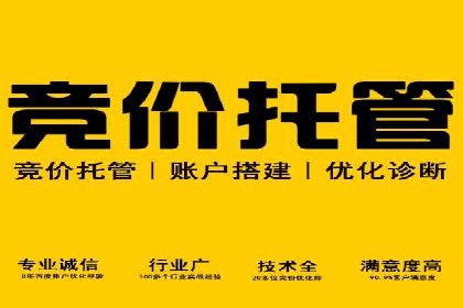 sem竞价推广托管案例：效果评估与反思